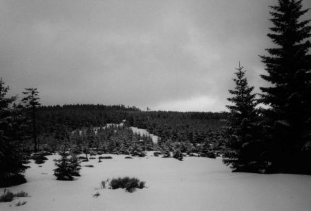 Ein verschneites Plateau im Harz